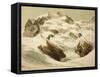 Le mont Rose, paysage de montagne-null-Framed Stretched Canvas