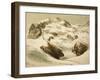 Le mont Rose, paysage de montagne-null-Framed Giclee Print