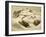 Le mont Rose, paysage de montagne-null-Framed Giclee Print