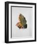 Le Palais D'Aladin-Osanne-Framed Limited Edition