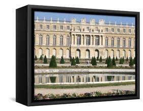 Le Parterre d'Eau, Aisle Du Midi, Chateau of Versailles, Les Yvelines, France-Guy Thouvenin-Framed Stretched Canvas
