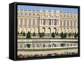 Le Parterre d'Eau, Aisle Du Midi, Chateau of Versailles, Les Yvelines, France-Guy Thouvenin-Framed Stretched Canvas