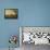 Le Pâturage-Karel Dujardin-Framed Stretched Canvas displayed on a wall