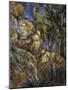 Le Paysage Des Dernieres Annees-Paul Cézanne-Mounted Giclee Print