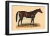 Le Petit Caporal-L. Penicaut-Framed Art Print