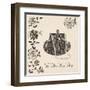 Le Petite Lace Purse-Marco Fabiano-Framed Art Print