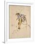 Le Picador-Eugene Delacroix-Framed Giclee Print