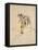 Le Picador-Eugene Delacroix-Framed Stretched Canvas