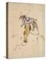 Le Picador-Eugene Delacroix-Stretched Canvas