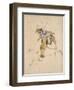 Le Picador-Eugene Delacroix-Framed Giclee Print