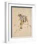 Le Picador-Eugene Delacroix-Framed Giclee Print