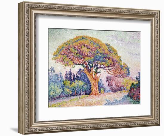 'Le Pin de Bertaud at Saint-Tropez', 1909-Paul Signac-Framed Giclee Print