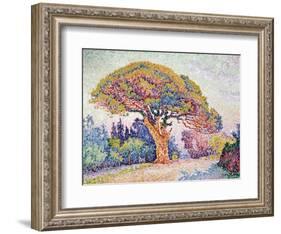 'Le Pin de Bertaud at Saint-Tropez', 1909-Paul Signac-Framed Giclee Print