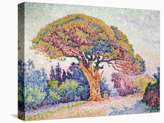 'Le Pin de Bertaud at Saint-Tropez', 1909-Paul Signac-Stretched Canvas