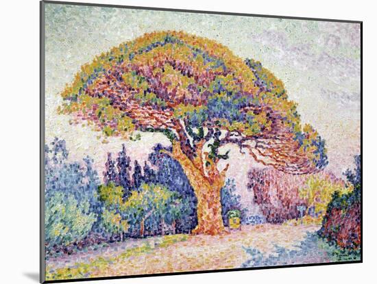 'Le Pin de Bertaud at Saint-Tropez', 1909-Paul Signac-Mounted Giclee Print