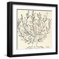 Le Platane-Henri Matisse-Framed Art Print