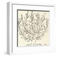 Le Platane-Henri Matisse-Framed Art Print