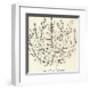 Le Platane-Henri Matisse-Framed Art Print