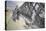 Le Pont de L'Europe-Gustave Caillebotte-Stretched Canvas