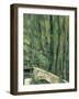 Le Pont de Maincy, près de Melun-Paul Cézanne-Framed Giclee Print