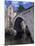 Le Pont-De-Montvert, River Tarn, Cevennes, Lozere, Languedoc-Roussillon, France-David Hughes-Mounted Photographic Print