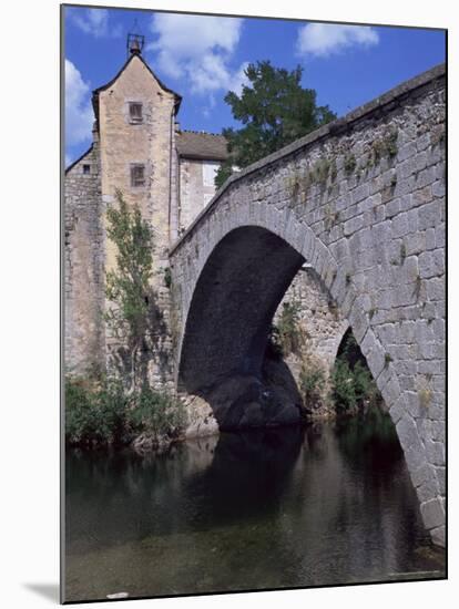 Le Pont-De-Montvert, River Tarn, Cevennes, Lozere, Languedoc-Roussillon, France-David Hughes-Mounted Photographic Print