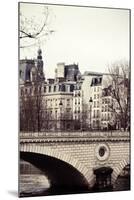 Le Pont-Irene Suchocki-Mounted Giclee Print