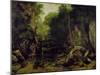 Le Puits-Noir, Doubs-Gustave Courbet-Mounted Giclee Print
