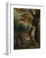 Le Puma, dit aussi Lionne guettant une proie-Eugene Delacroix-Framed Giclee Print