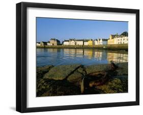 Le Quai Des Francais Libres, Ile De Sein, Breton Islands, Finistere, Brittany, France-Bruno Barbier-Framed Photographic Print