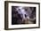 Le rendez vous-Fabien BRAVIN-Framed Photographic Print