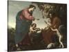 Le Repos pendant la fuite en Egypte-Jacopo Vignali-Stretched Canvas