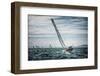 Le Retour-José Fangueiro-Framed Photographic Print