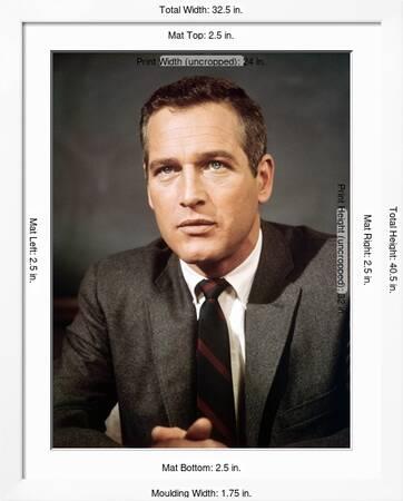 Le Rideau Dechire TORN CURTAIN by Alfred Hitchcock with Paul Newman, 1966  (photo)' Photo | AllPosters.com