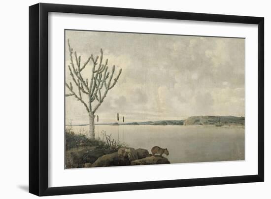 Le Rio Sao Francisco et le Fort Maurice au Brésil-Frans Post-Framed Premium Giclee Print