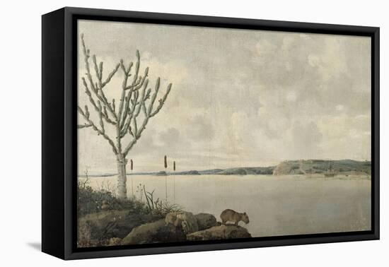 Le Rio Sao Francisco et le Fort Maurice au Brésil-Frans Post-Framed Stretched Canvas