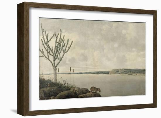 Le Rio Sao Francisco et le Fort Maurice au Brésil-Frans Post-Framed Giclee Print