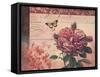 Le Rose a Monte I-Kimberly Poloson-Framed Stretched Canvas