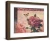 Le Rose a Monte I-Kimberly Poloson-Framed Art Print