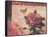 Le Rose a Monte I-Kimberly Poloson-Framed Stretched Canvas