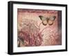 Le Rose a Monte II-Kimberly Poloson-Framed Art Print