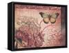 Le Rose a Monte II-Kimberly Poloson-Framed Stretched Canvas