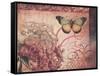 Le Rose a Monte II-Kimberly Poloson-Framed Stretched Canvas