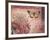 Le Rose a Monte II-Kimberly Poloson-Framed Art Print