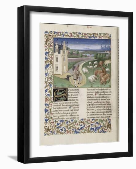 Le Rustican ou "Livre des proffitz champestres et ruraulx" par Pietro de Crescenzi-du Boccace de Genève Maître-Framed Giclee Print