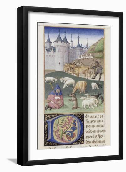 Le Rustican ou "Livre des proffitz champestres et ruraulx" par Pietro de' Crescenzi-du Boccace de Genève Maître-Framed Giclee Print