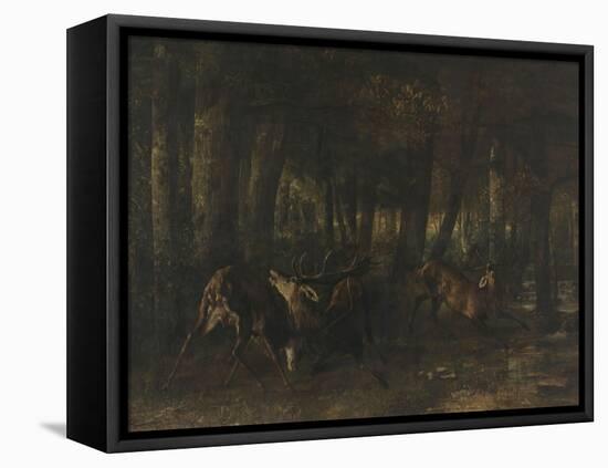 Le rut du printemps, combat de cerfs-Gustave Courbet-Framed Stretched Canvas