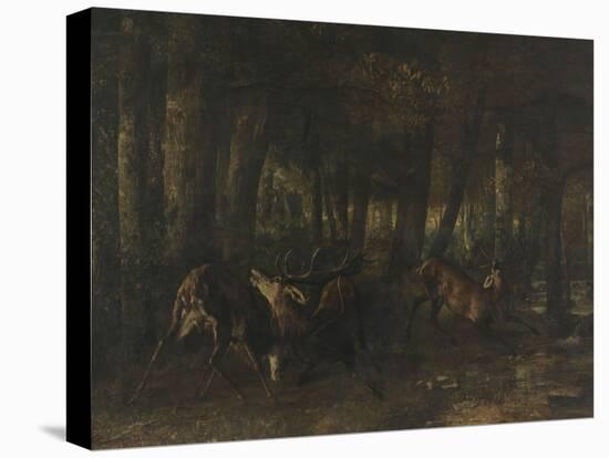 Le rut du printemps, combat de cerfs-Gustave Courbet-Stretched Canvas