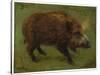 Le Sanglier (Oil on Canvas)-Rosa Bonheur-Stretched Canvas