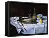 Le Saumon, c.1864-Edouard Manet-Framed Stretched Canvas